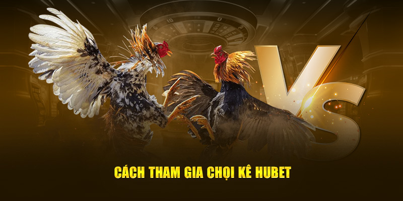 Cách tham gia chọi kê Hubet