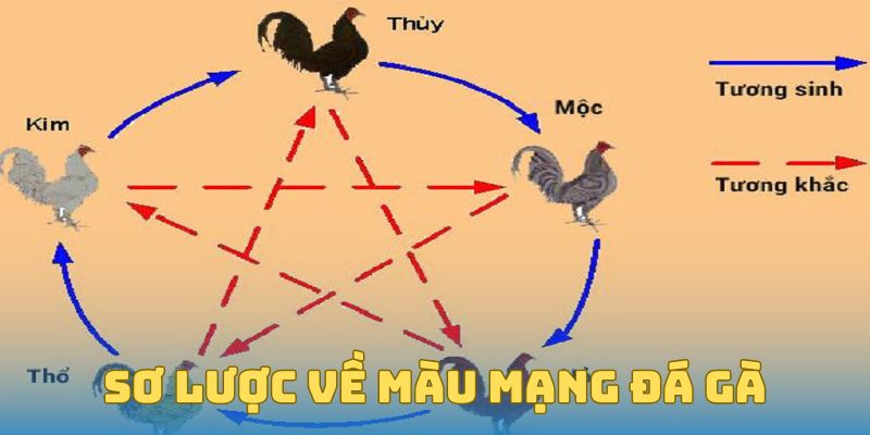 Sơ lược về màu mạng đá gà